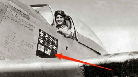 This Ace Pilot Shot Down Germans, Italians, Japanese And… An American? | Frontline Videos