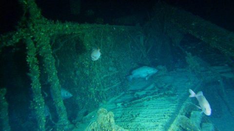 Expedition Into German U-Boat Off North Carolina Coast – 45 Bodies Still Trapped Inside | Frontline Videos