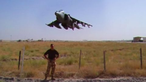 Tough Guy Says ‘I Won’t Flinch’ Right Before A Harrier Petrifies Him | Frontline Videos