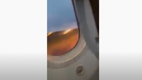 Boeing 787 Birdstrike and Rejected Take Off | Frontline Videos