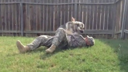 Dog Missed His Soldier So Much And It Shows | Frontline Videos