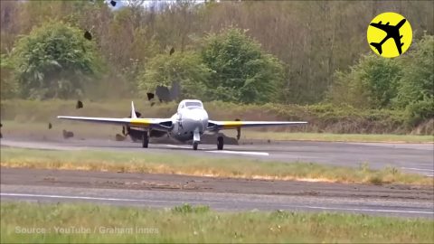 Plane Destroys The Runway | Frontline Videos